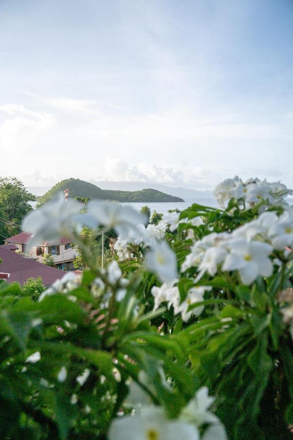 Bungalow Anse Figuier Terre-De-Haut Exterior foto